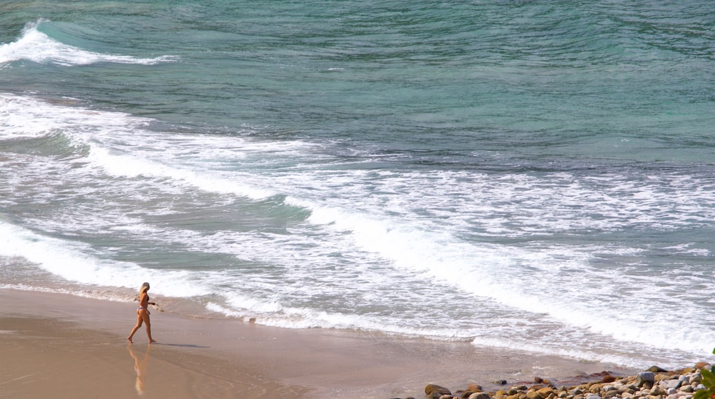 Playa Brava das einen Strand und allgemeine Küstenansicht sowie einzelne Frau