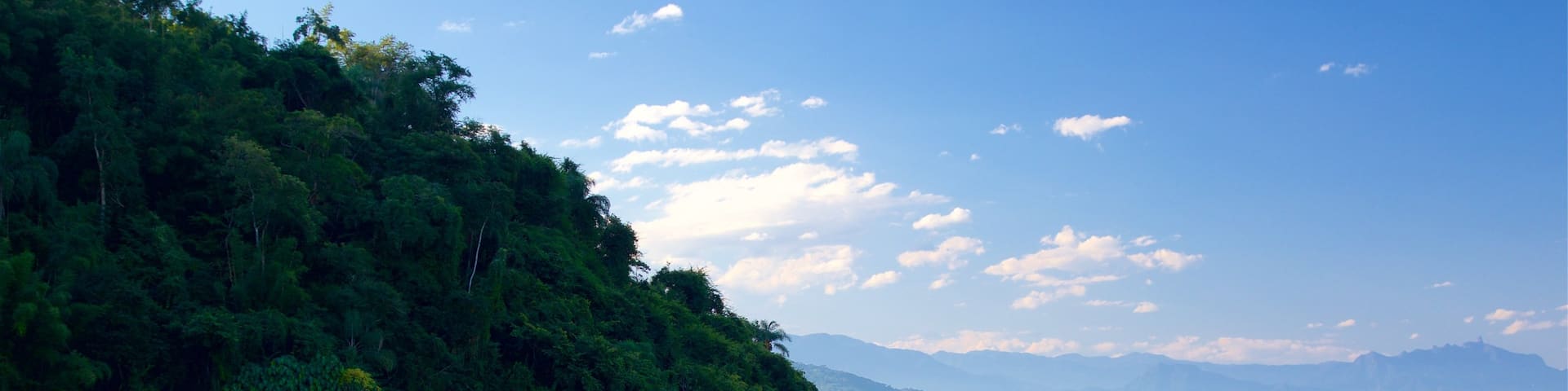 Pontal Beach which includes general coastal views and a sandy beach