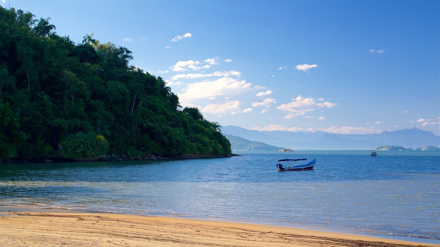 Pontal Beach showing a sandy beach and general coastal views