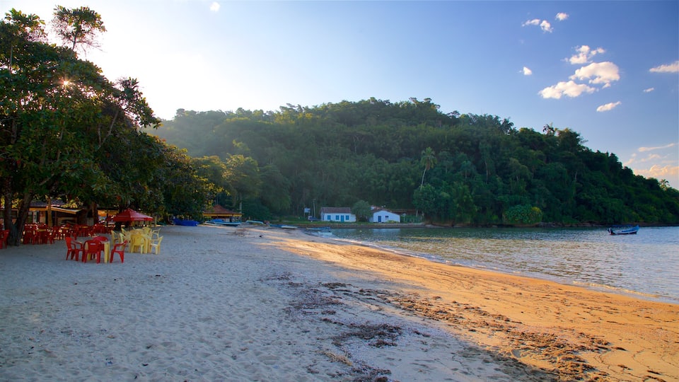 Praia do Pontal mostrando paisagens litorâneas e uma praia de areia