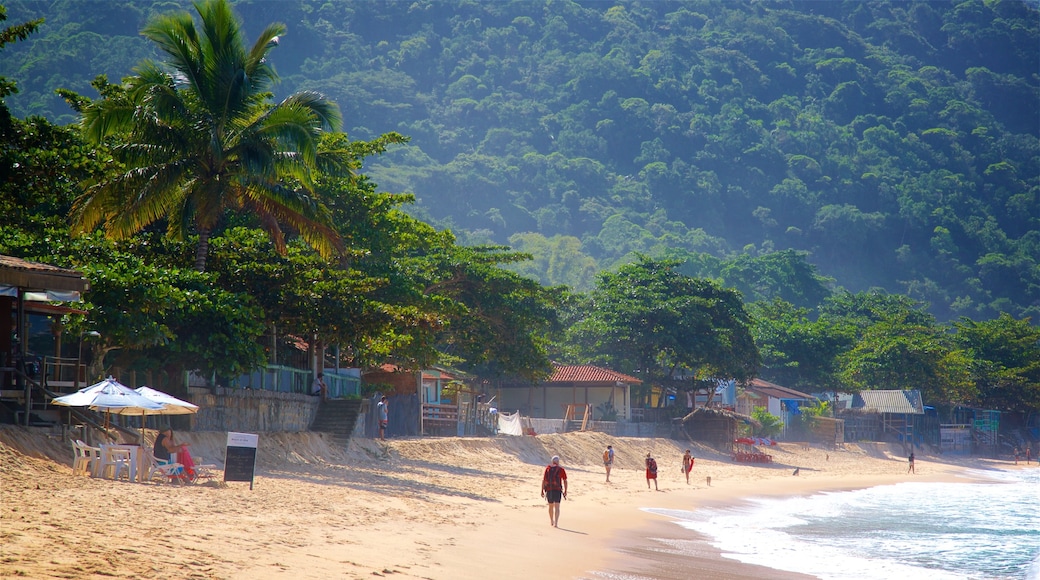 Ranch Beach showing general coastal views, tropical scenes and a coastal town