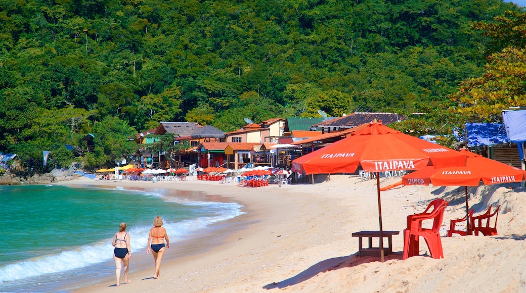 Playa del Rancho mostrando vistas generales de la costa, escenas tropicales y una playa de arena