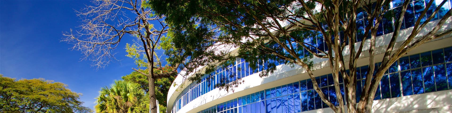 Biblioteca Publica Estadual Luiz de Bessa showing a park