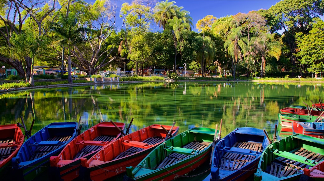 Americo Renne Giannetti Municipal Park which includes a pond and a park