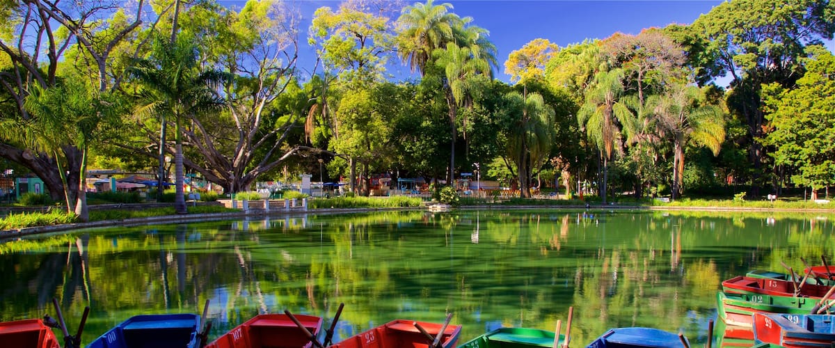 Americo Renne Giannetti Municipal Park featuring a garden and a pond