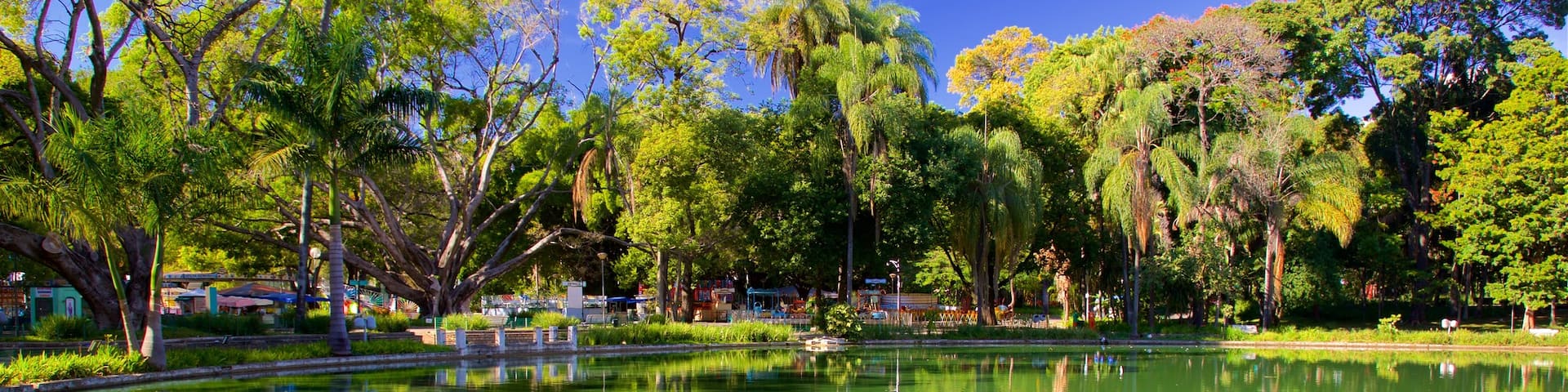 Americo Renne Giannetti Municipal Park featuring a garden and a pond