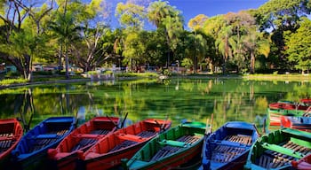 Americo Renne Giannetti Municipal Park featuring a garden and a pond