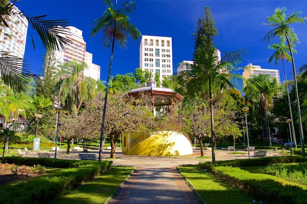 Americo Renne Giannetti Municipal Park showing a park and a city