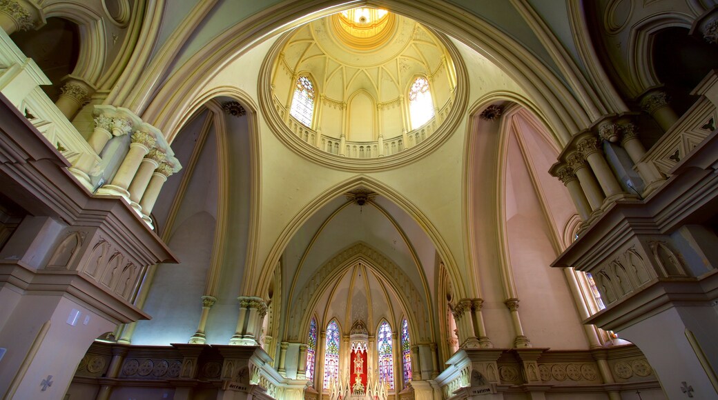 Catedral Nossa Senhora da Boa Viagem caracterizando vistas internas, uma igreja ou catedral e elementos de patrimônio