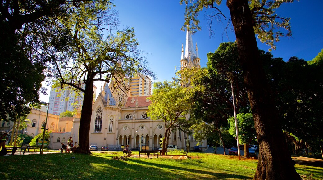 Catedral Nossa Senhora da Boa Viagem mostrando uma igreja ou catedral, um jardim e uma cidade