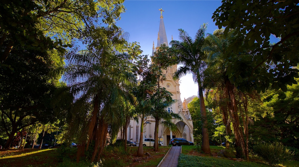 Catedral da Boa Viagem som visar en kyrka eller katedral och en park