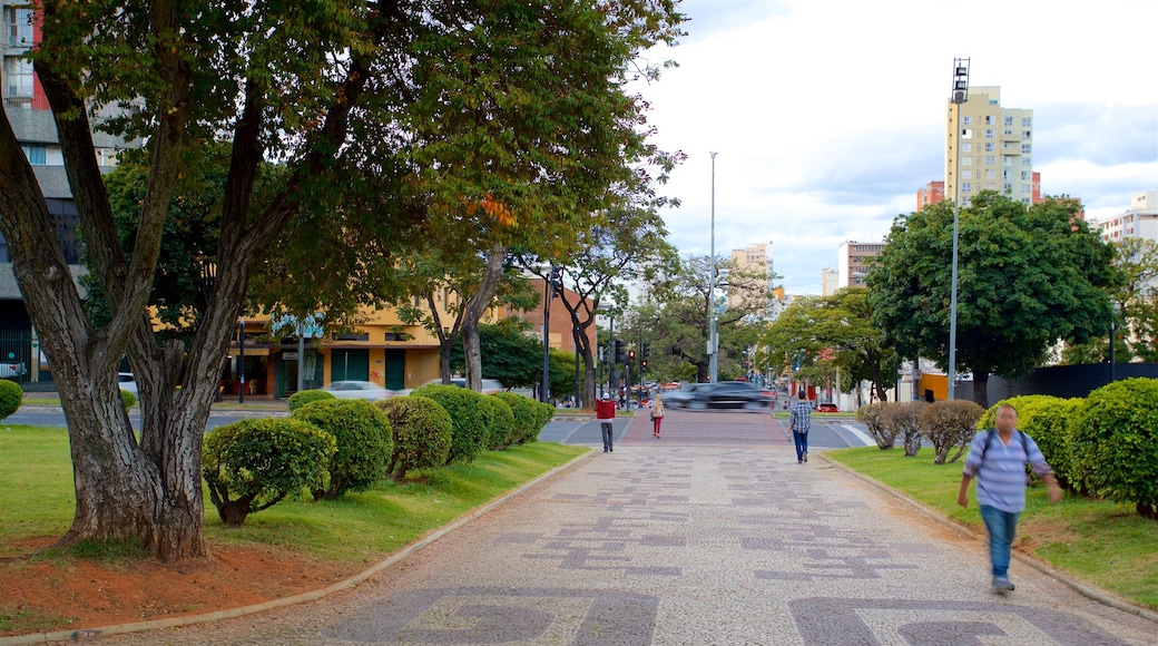 Praça Raul Soares mostrando um jardim