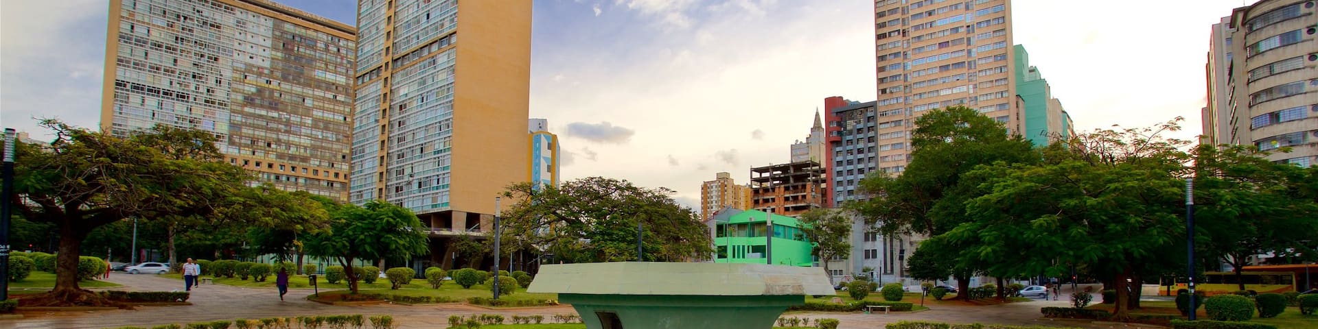 Raul Soares Square which includes a city, a fountain and a garden