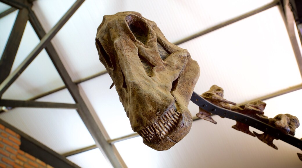 UFMG Museum of Natural History