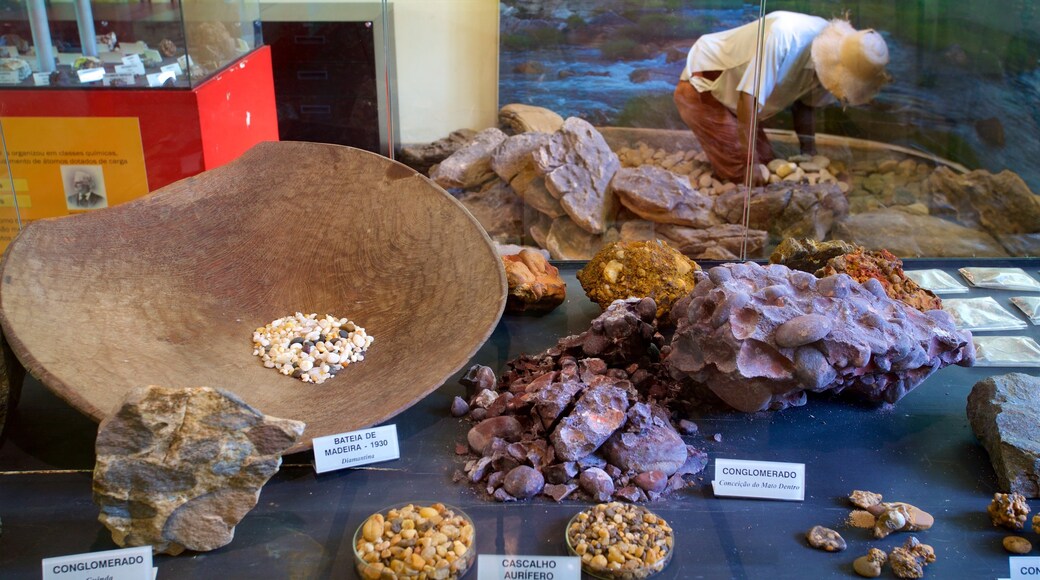 UFMG Museum of Natural History