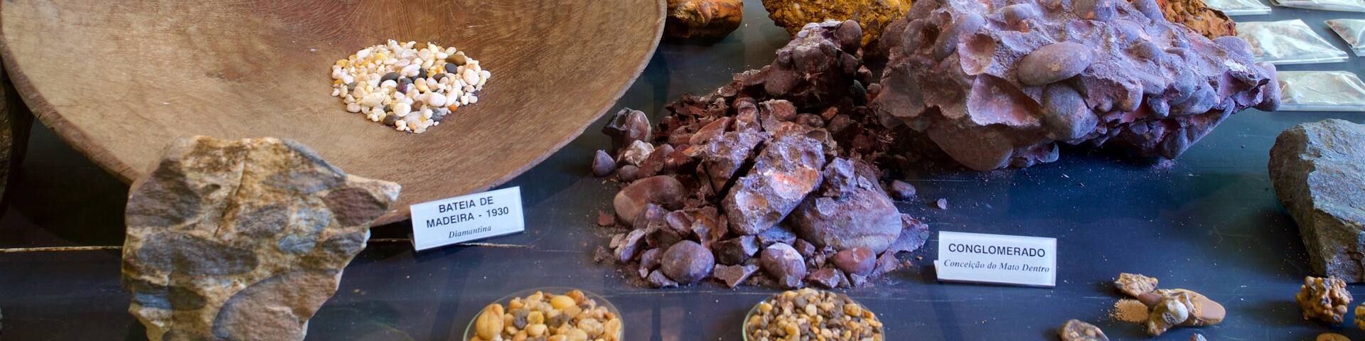 UFMG Museum of Natural History featuring interior views