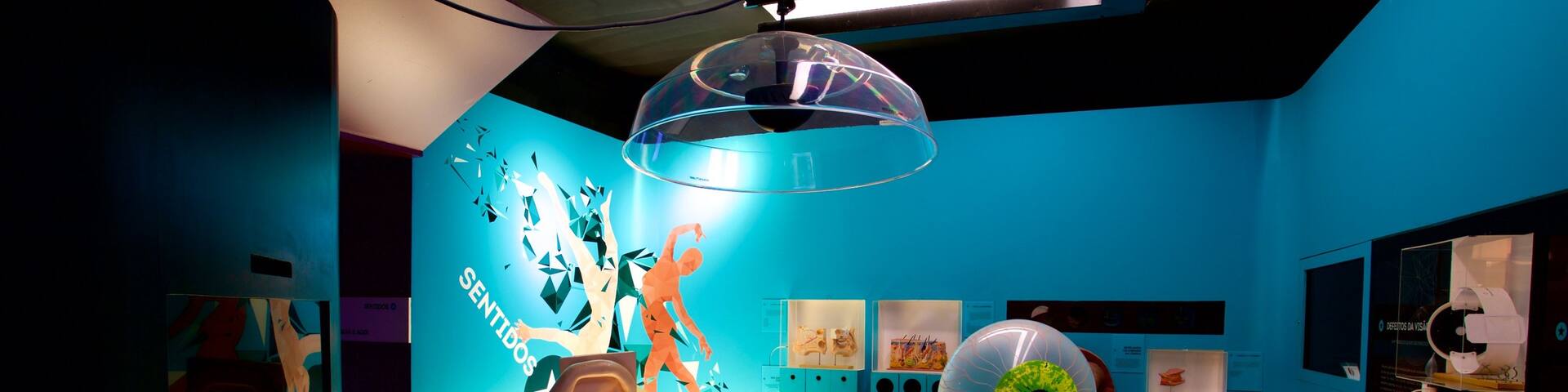 UFMG Museum of Natural History showing interior views