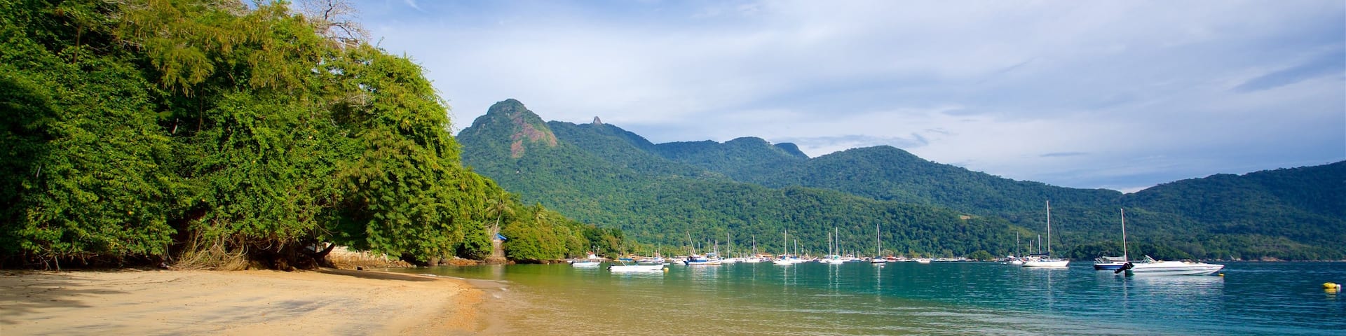 Japariz Beach showing general coastal views, a beach and a bay or harbor