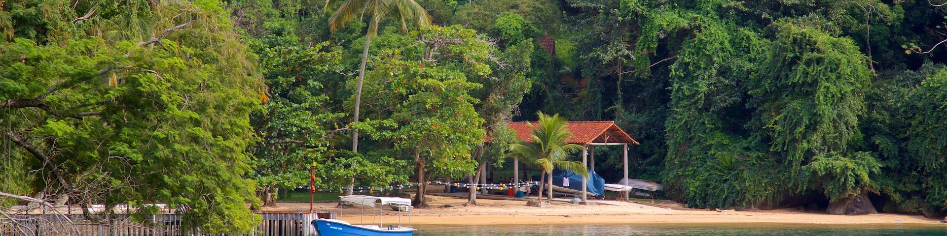 Plage de l\'AbraĂŁozinho mettant en vedette scĂšnes tropicales, vues littorales et plage
