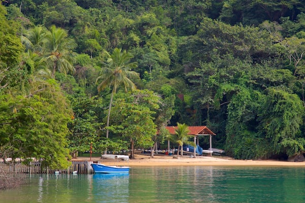 Plage de l\'AbraĂŁozinho mettant en vedette scĂšnes tropicales, vues littorales et plage