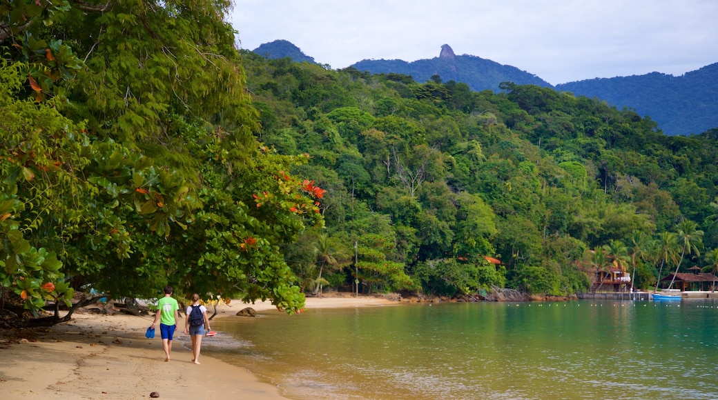 Playa de Abraãozinho mostrando una playa, vista general a la costa y escenas tropicales