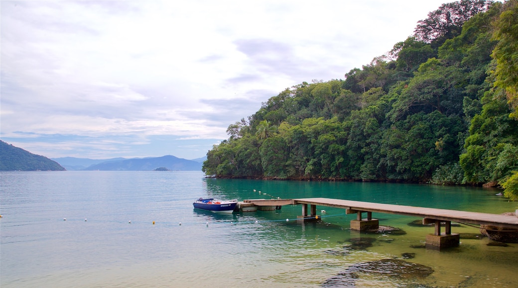 Abraaozinho Beach which includes tropical scenes, general coastal views and a beach