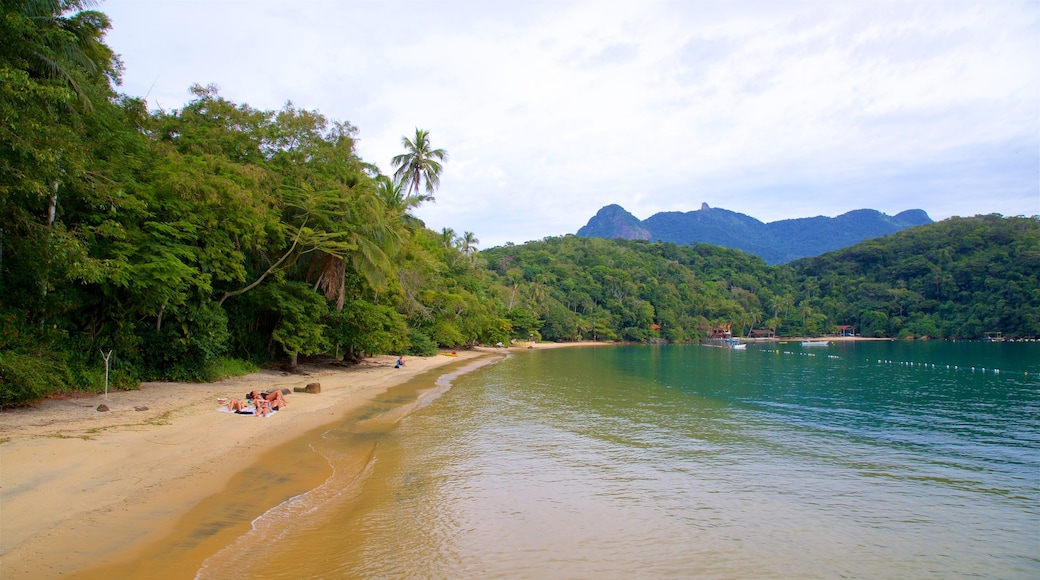 Playa de Abraãozinho que incluye escenas tropicales, vistas generales de la costa y una playa