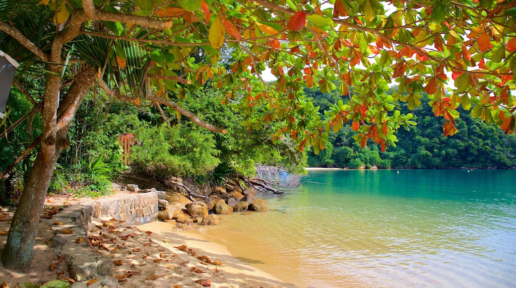 Spiaggia di Abraaozinho caratteristiche di paesaggio tropicale, vista della costa e spiaggia