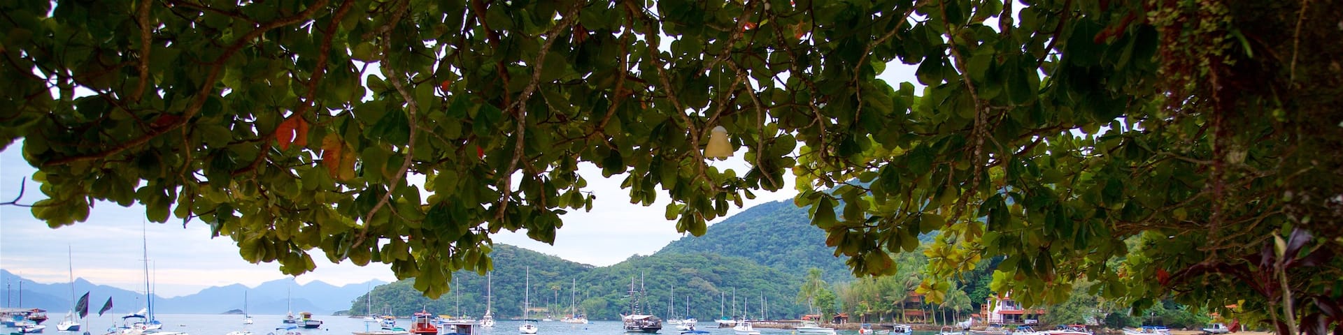 Abraao Beach featuring a bay or harbor, general coastal views and a beach