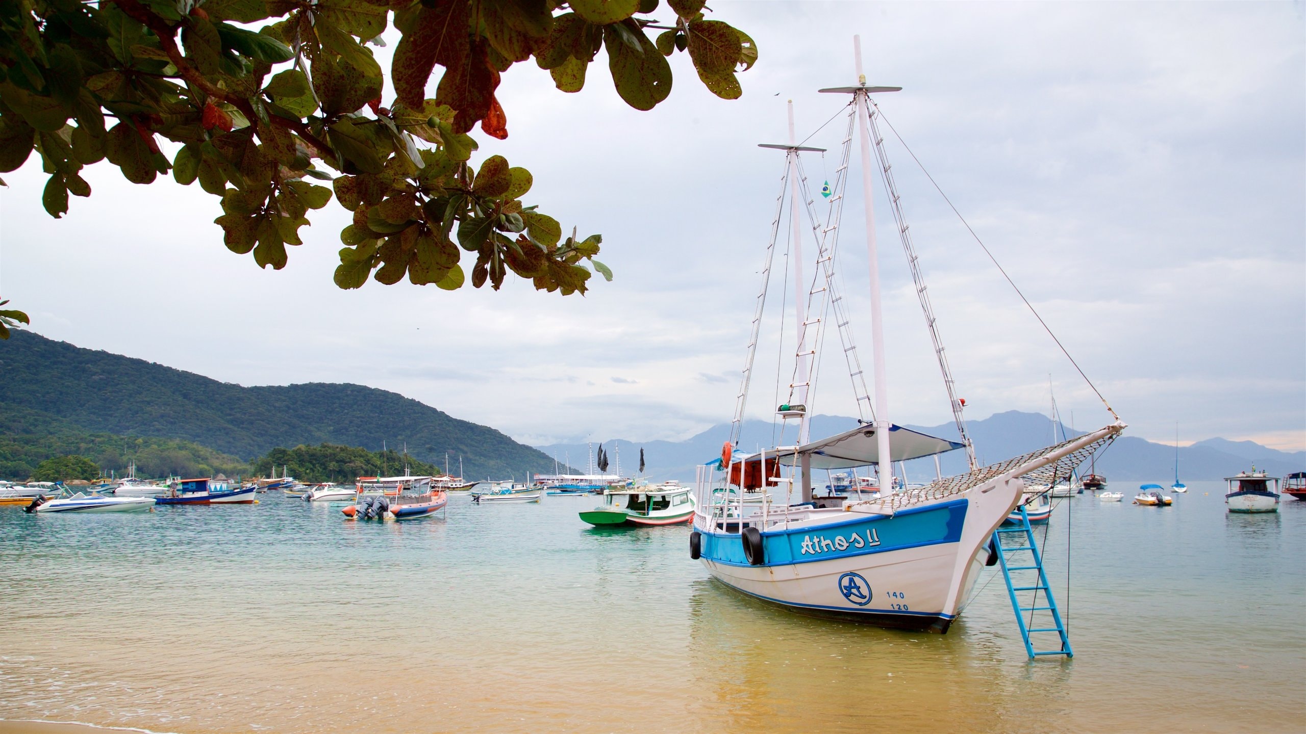 Abraao Beach which includes a bay or harbor and general coastal views