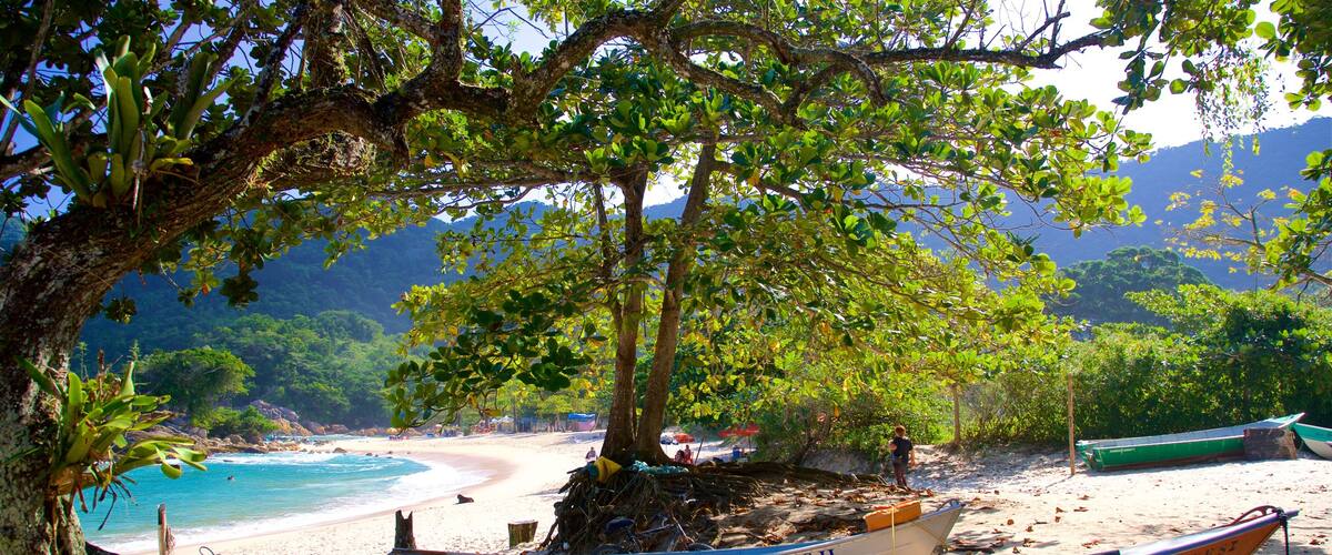 Meio Beach showing tropical scenes, general coastal views and a sandy beach