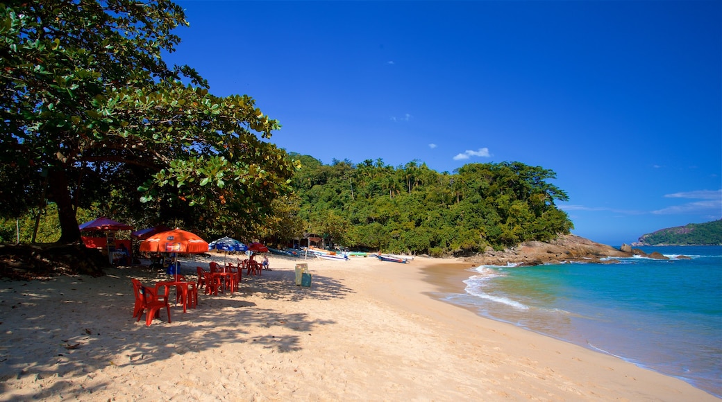 Meio Beach showing tropical scenes, a sandy beach and general coastal views