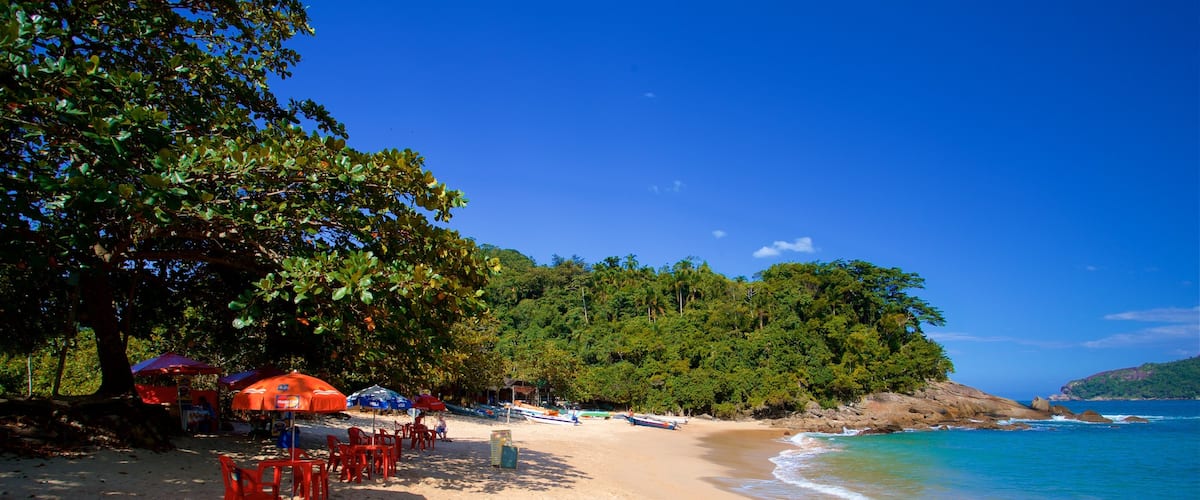 Meio Beach showing a beach, general coastal views and tropical scenes