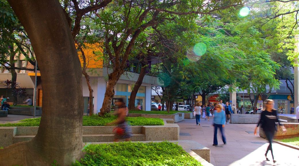 Plaza Savassi que incluye un jardín y escenas cotidianas y también un grupo pequeño de personas