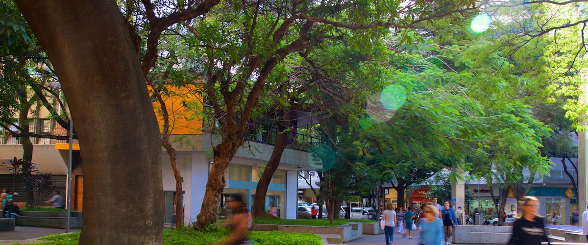 Praça da Savassi caracterizando cenas de rua e um parque assim como um pequeno grupo de pessoas
