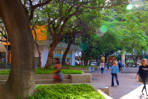 Savassi Square which includes street scenes and a park as well as a small group of people