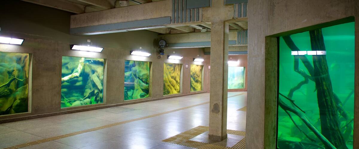 Aquário de Belo Horizonte caracterizando vida marinha e vistas internas