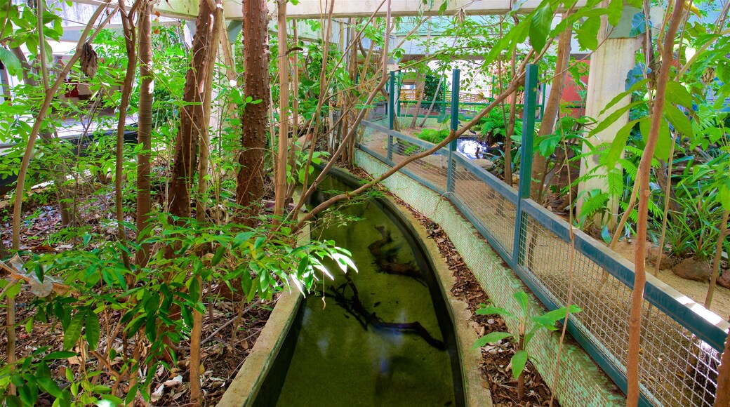 Acquario della città mostrando animali marini e vista interna