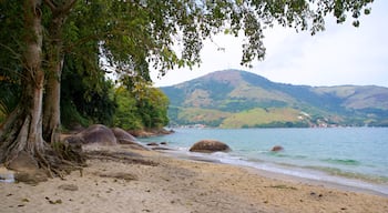 Praia das Éguas caracterizando paisagens litorâneas, cenas tropicais e uma praia