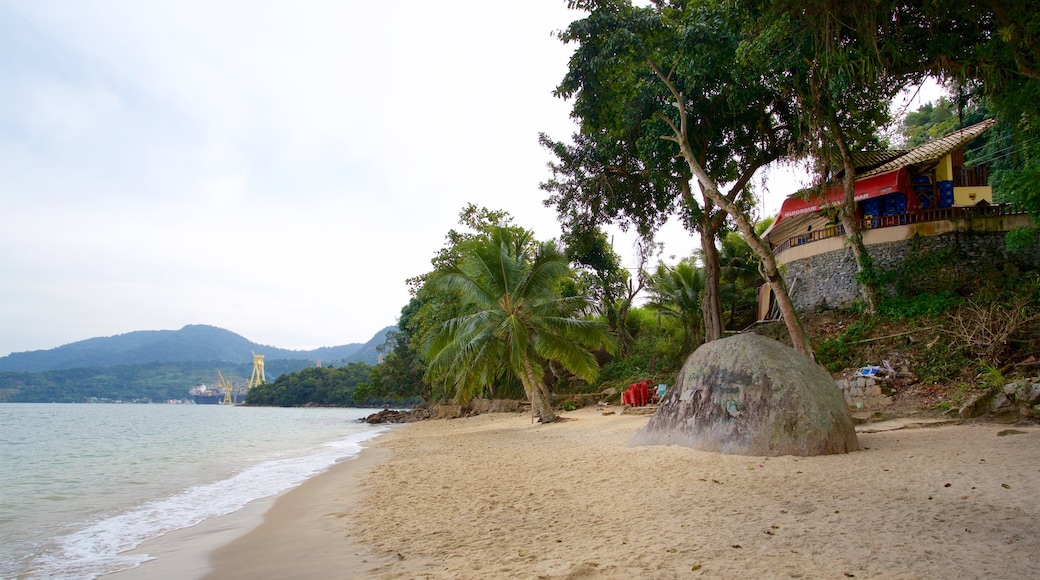 Playa das Éguas ofreciendo escenas tropicales, vistas generales de la costa y una playa