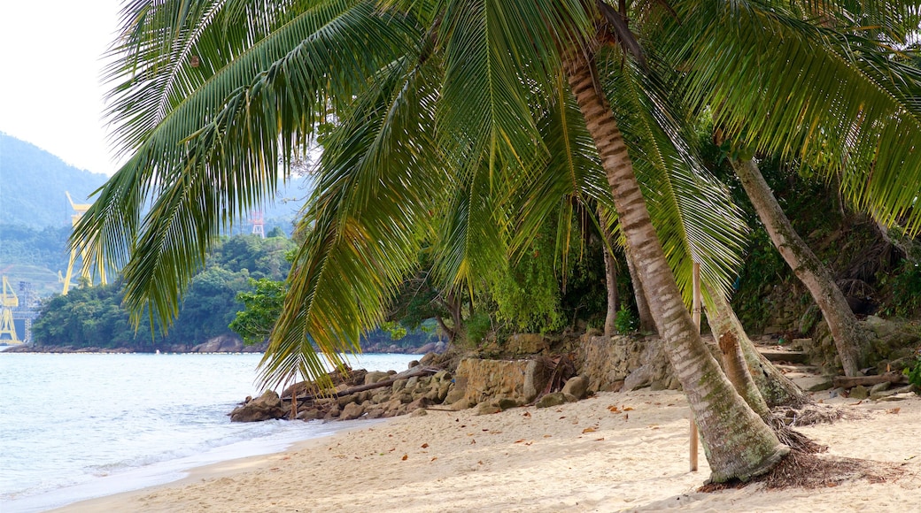 Playa das Éguas mostrando vistas generales de la costa, una playa y escenas tropicales