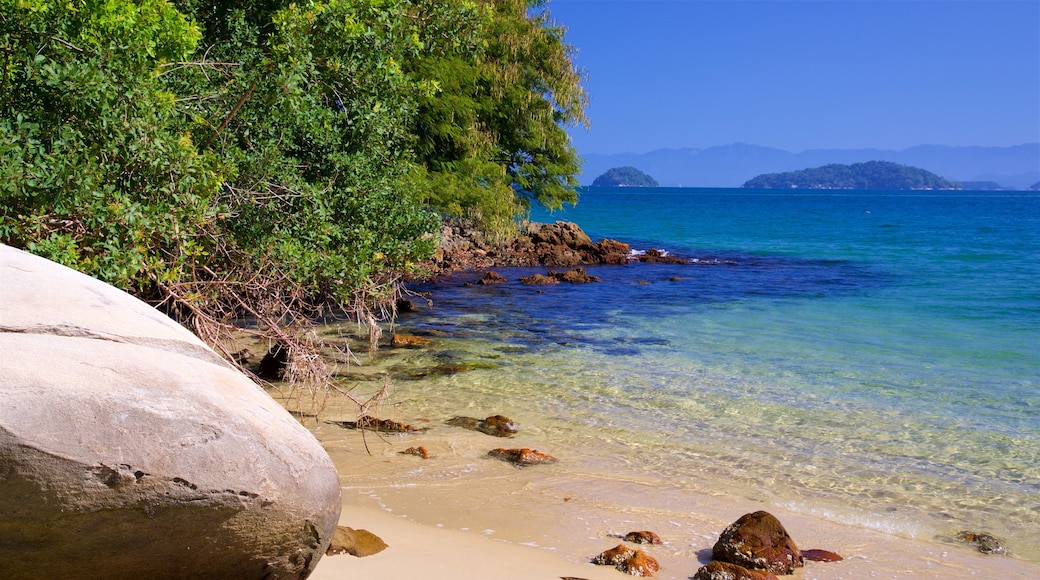 Figueira Beach featuring tropical scenes, a sandy beach and general coastal views