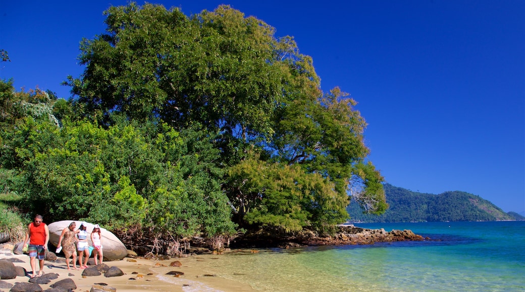 Figueira Beach featuring tropical scenes, a beach and general coastal views