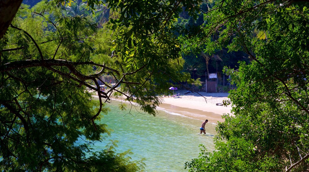 Praia da Figueira das einen Sandstrand, Schwimmen und allgemeine Küstenansicht