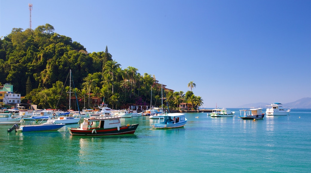 Bonfim Beach which includes tropical scenes and a bay or harbour