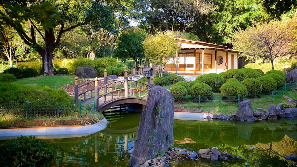 Japanese Garden featuring a pond and a garden