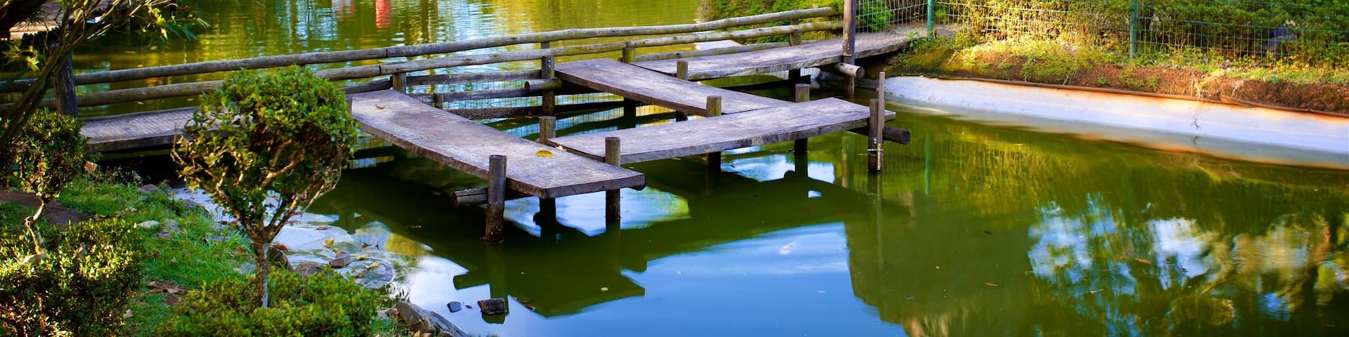 Japanese Garden featuring a park and a pond