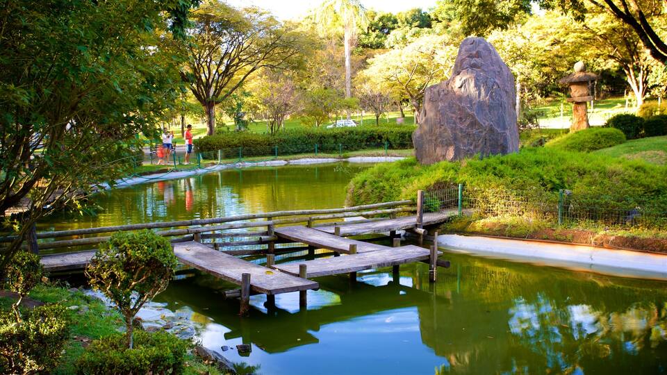 Japanese Garden featuring a park and a pond