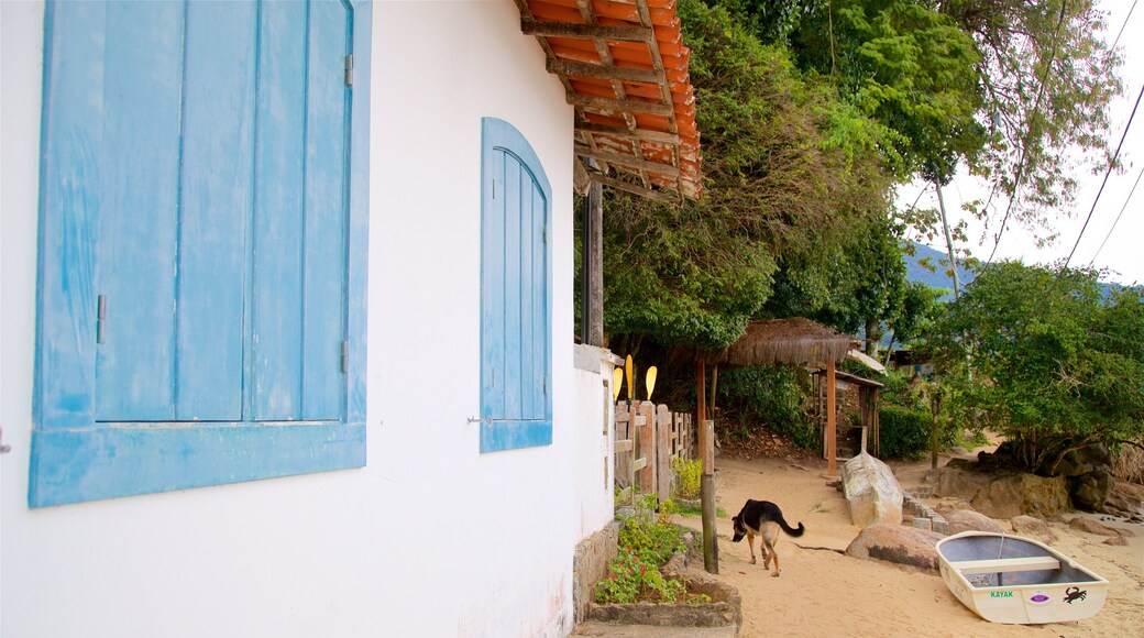 Bahía de Ilha Grande ofreciendo una playa de arena, una ciudad costera y animales tiernos