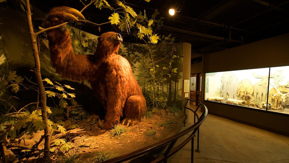Iowa Museum of Natural History which includes interior views